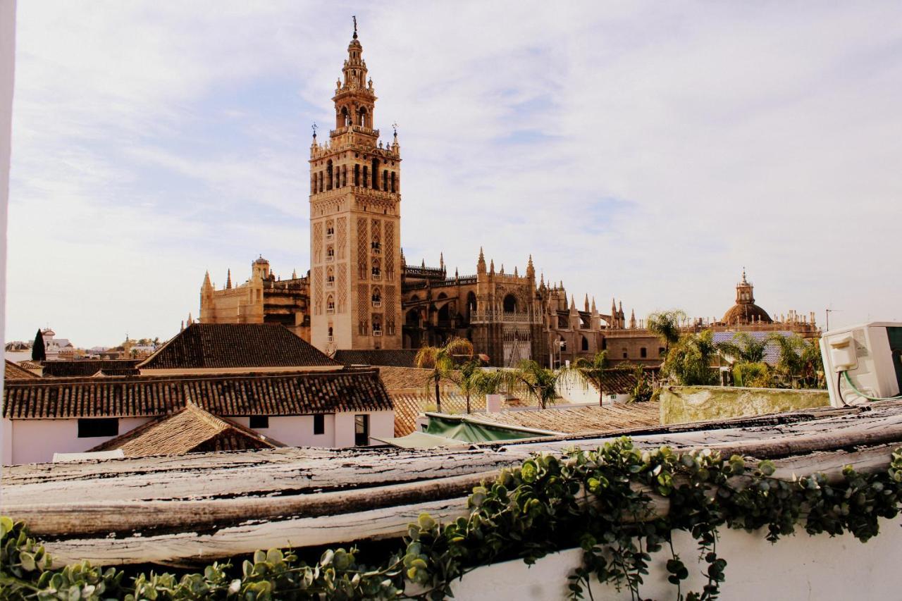 Olé - Santa Rufina * Sevilla