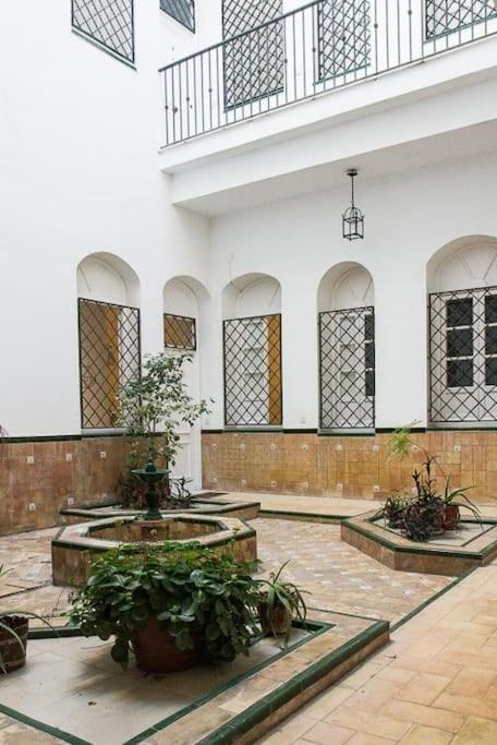 Cozy In A Typical Sevillian Patio House Apartamento *