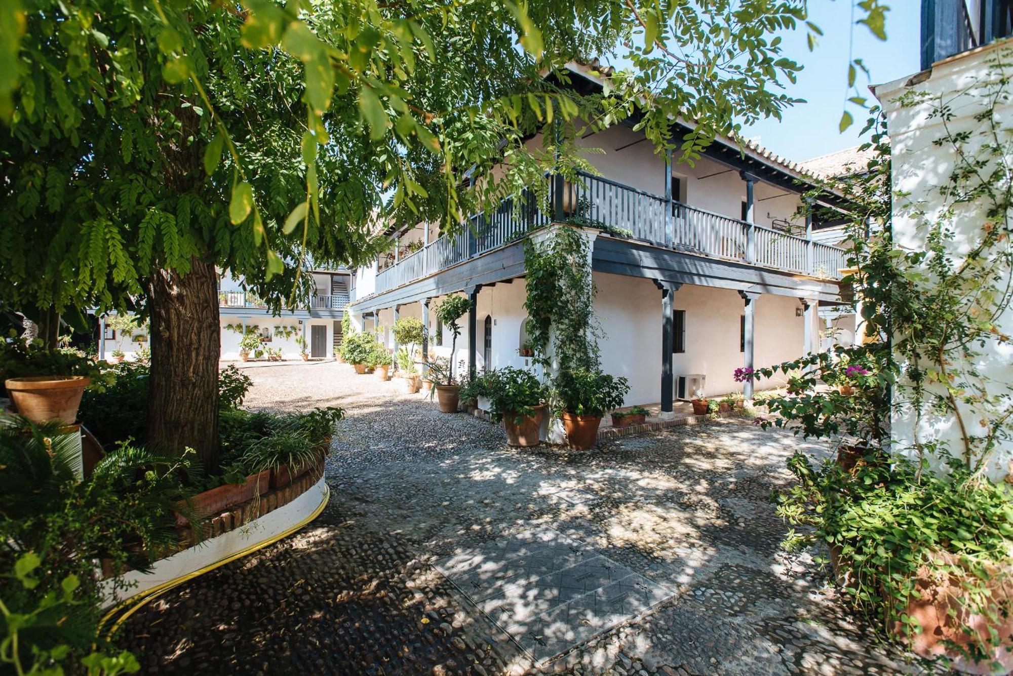 Apartamento Oasis En El Centro De *