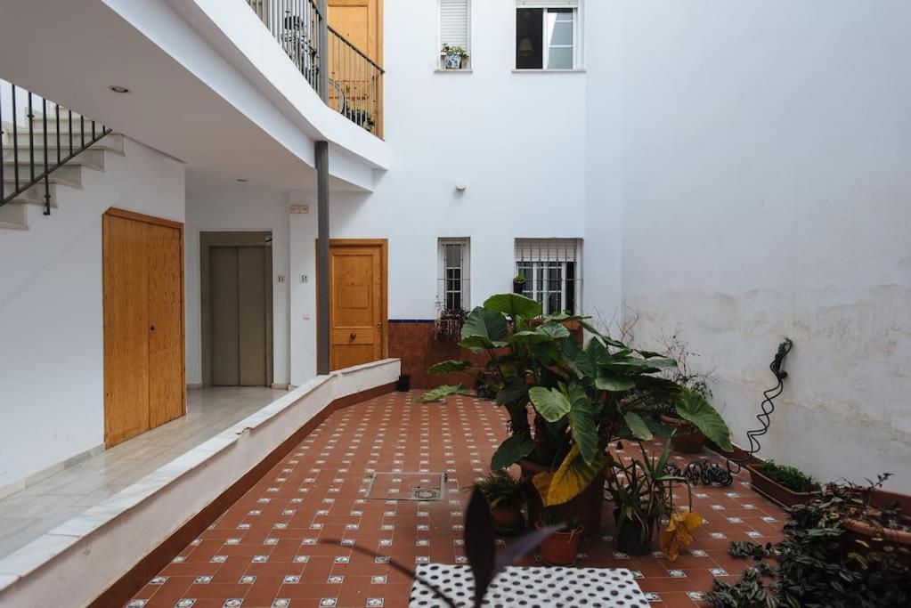 Acogedor Y Apartamento