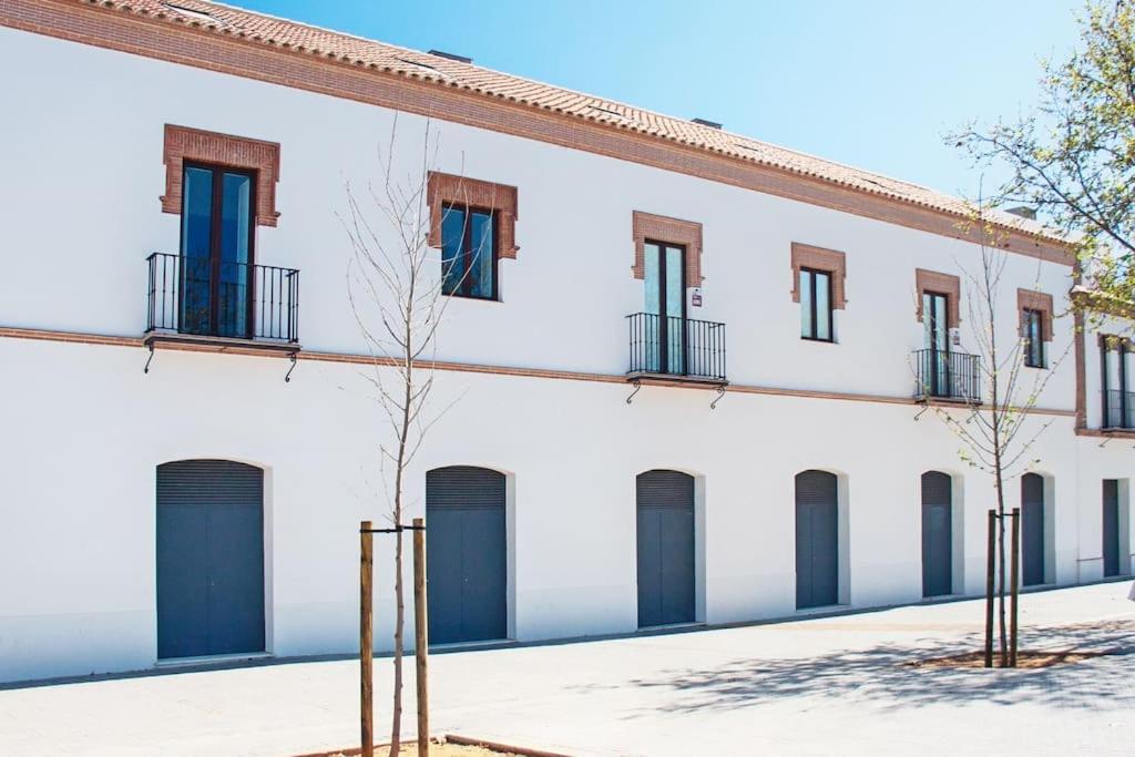 Live Like A Local In Contemporary Duplex Sevilla