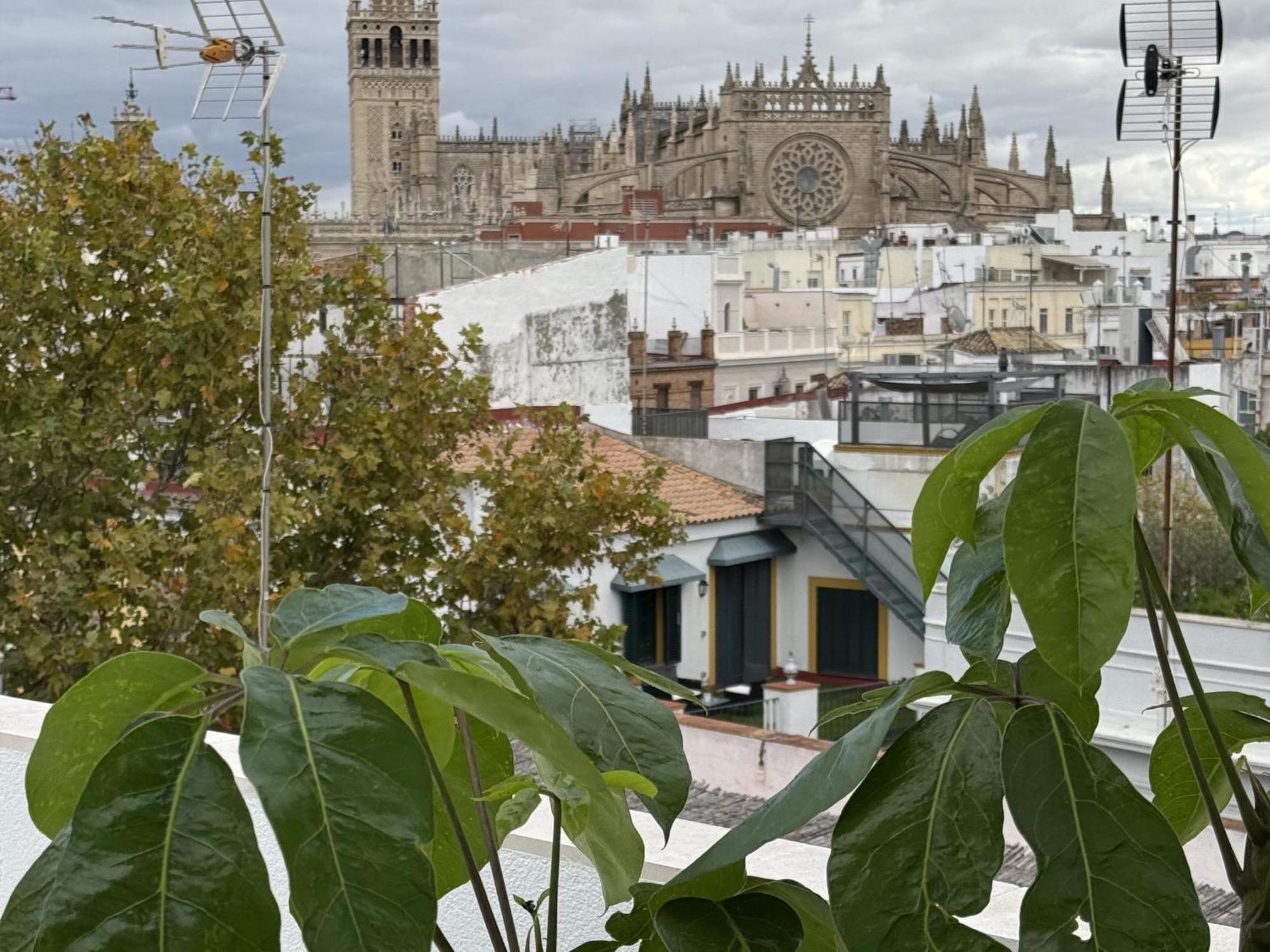 Misterhost Luxury Penthouse Arenal Apartamento