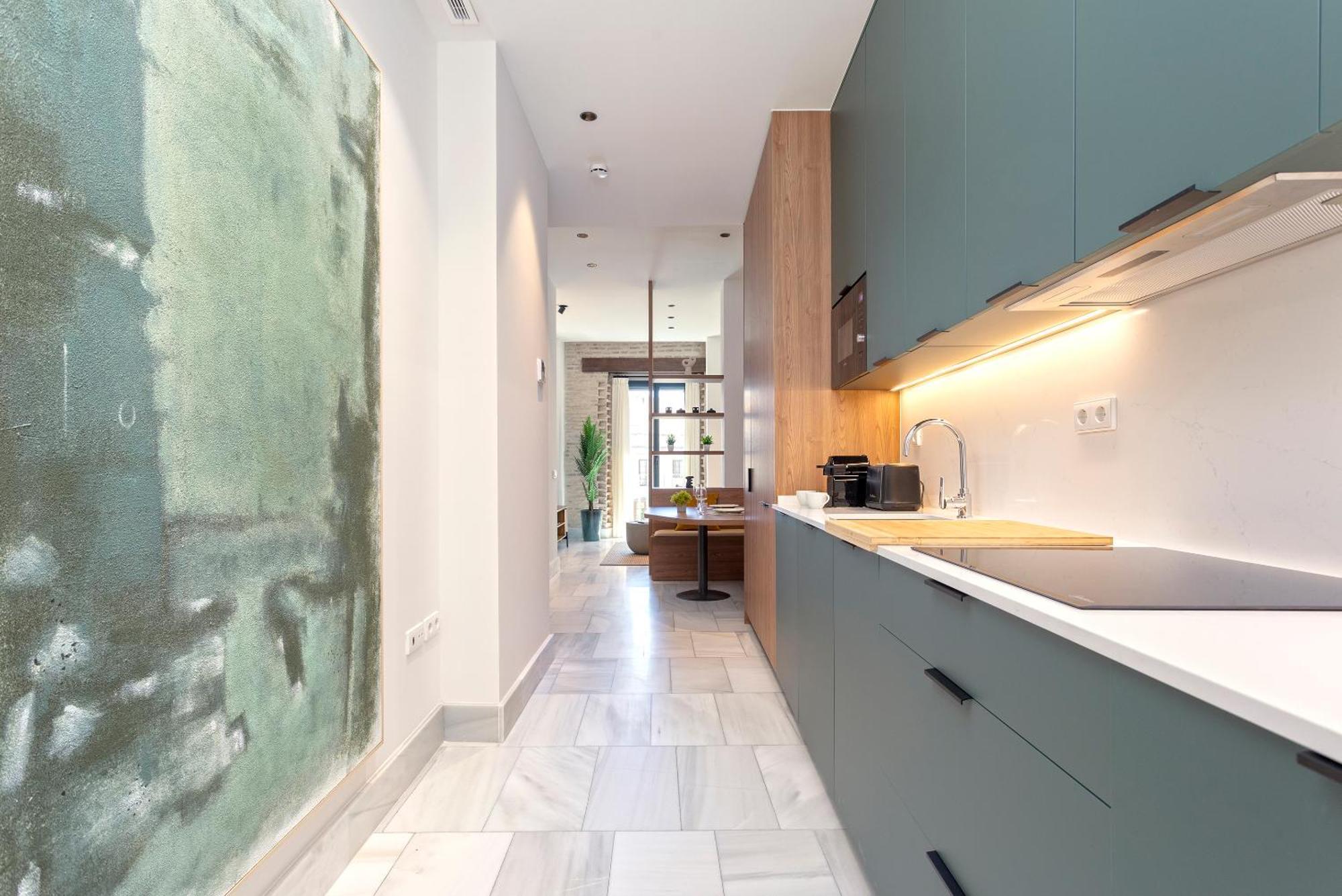 Genteel San Vicente Apartment