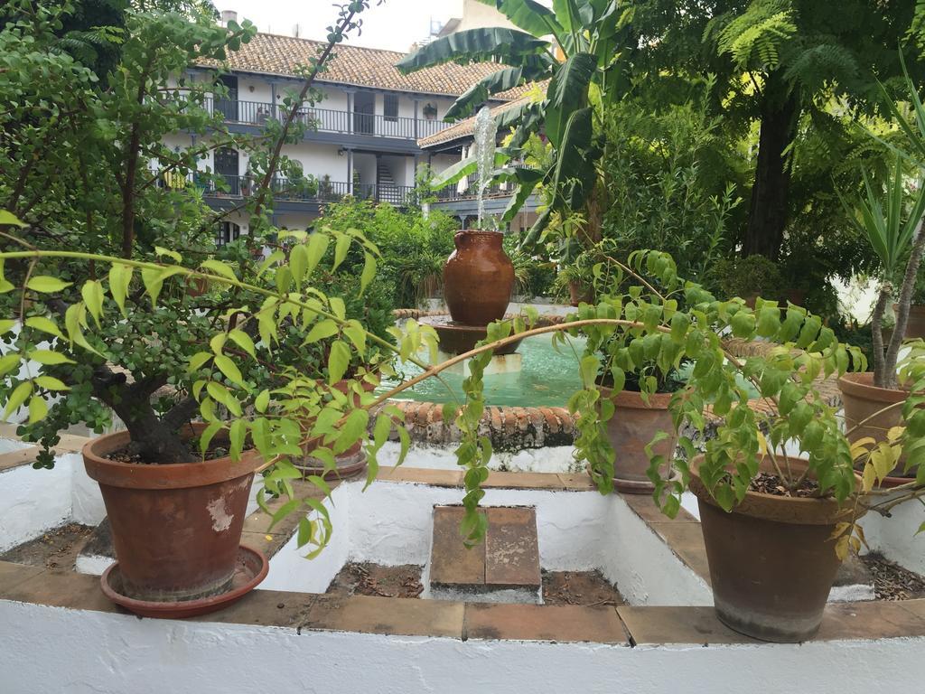 Apartamento Oasis En El Centro De *