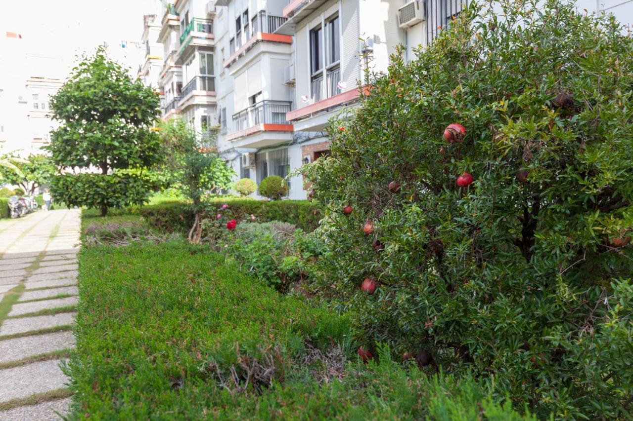 Fantastico Apto Recién 2 Hab-sevilla-triana Apartamento *