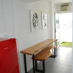 Brisas Vip