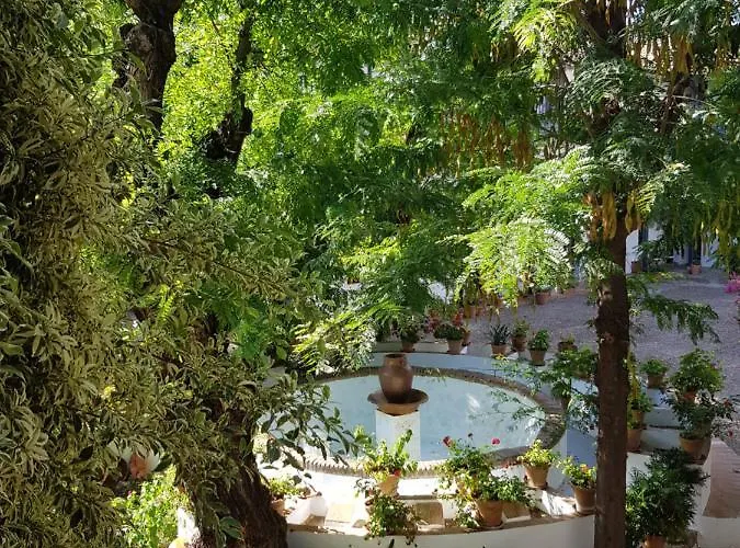 Patio Andaluz Siglo XVI