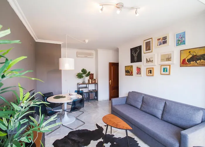 Apt Calle Froilan De La Serna