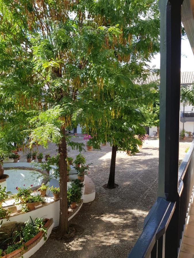 Apartamento Patio Andaluz Siglo Xvi Sevilla