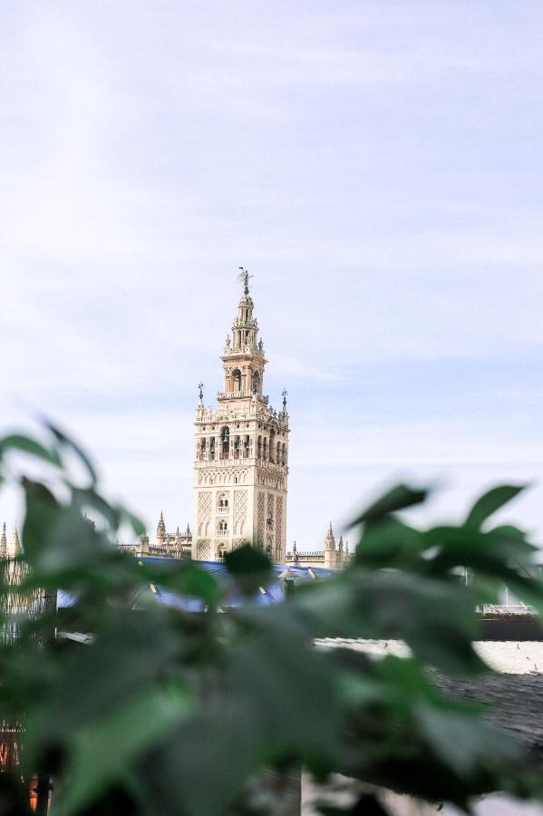 Alohamundi Catedral Apartamento