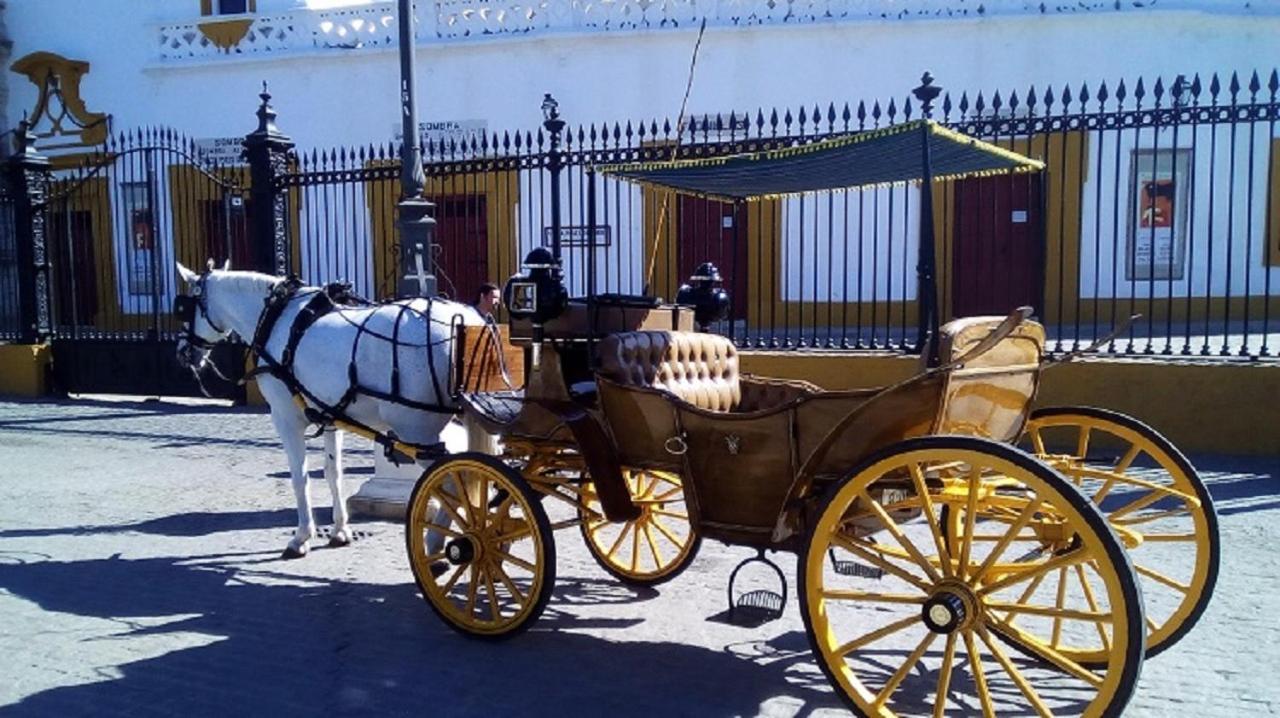 Casa Jucar 4