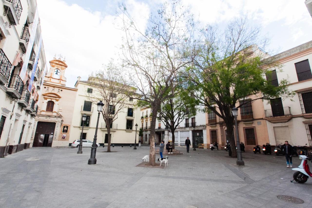 Gotoseville Molviedro Apartamento Sevilla