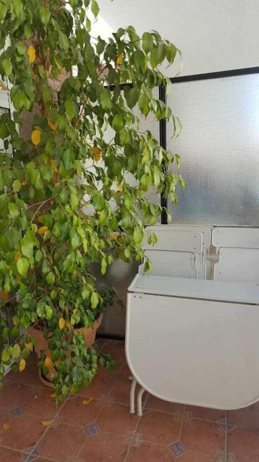 Nuevo Luminoso Y Espacioso Cerca Catedral Castelar 19 Apartamento