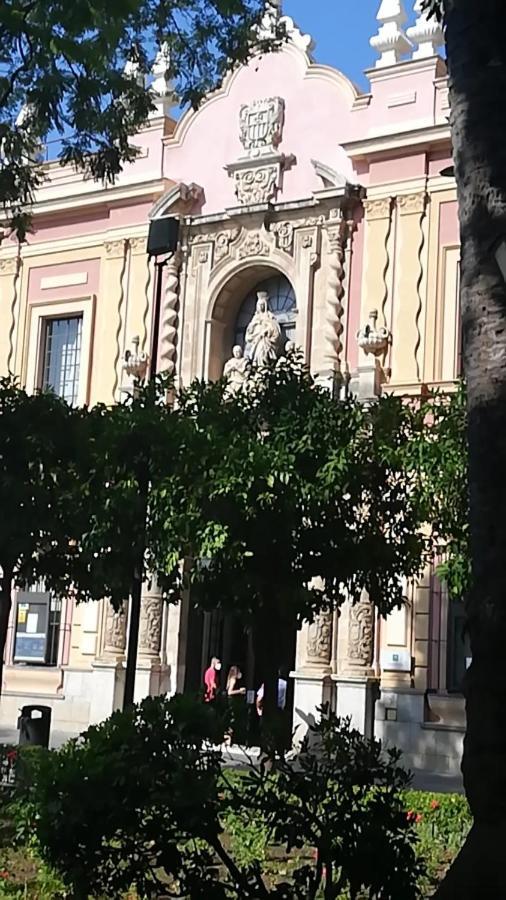 Homefeel Museo *