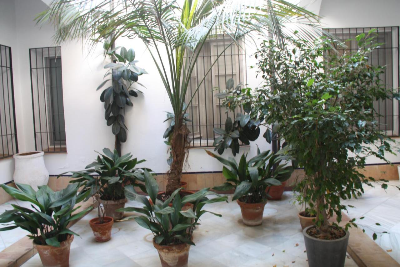 Antigua Casa Típica Sevillana Rehabilitada En Casco Histórico * Sevilla