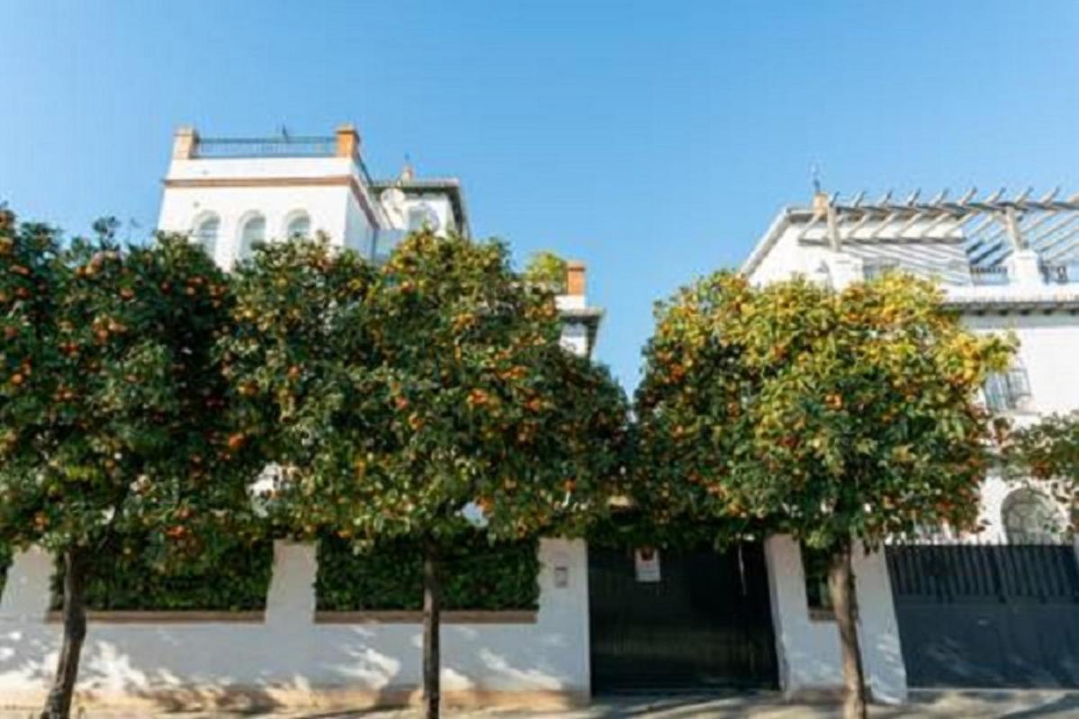 Apartamento Casa Jucar 4 Sevilla