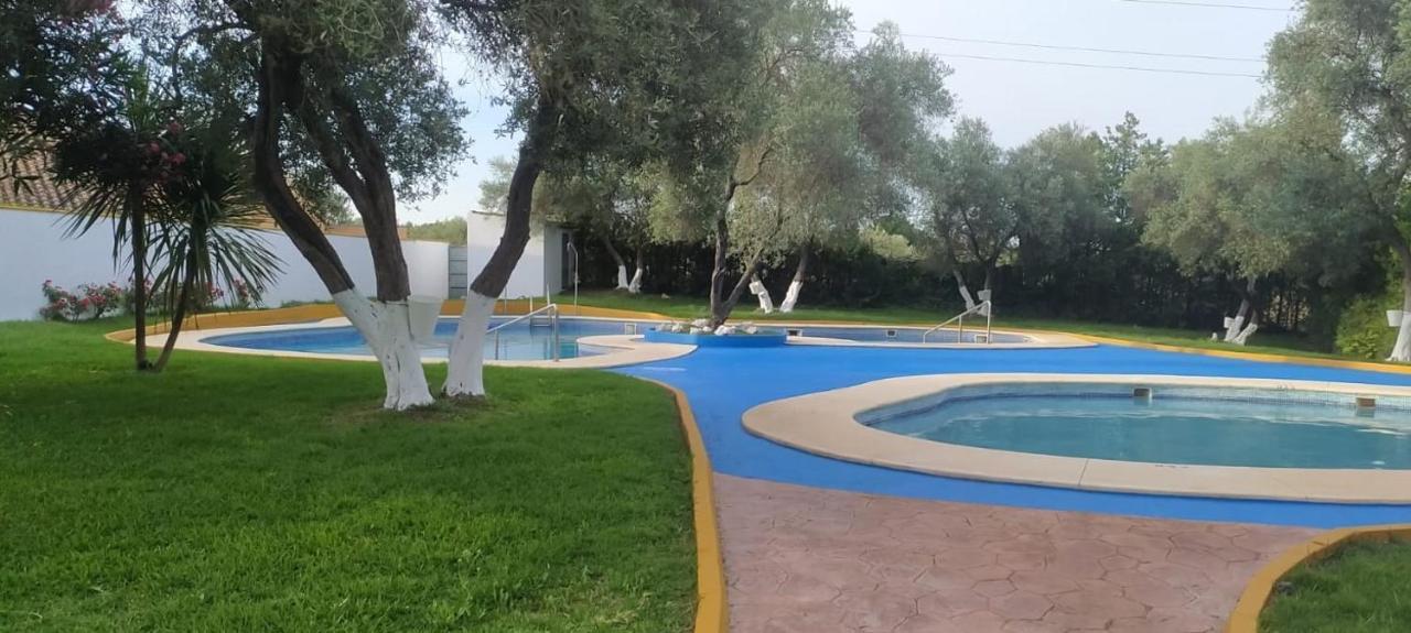 Brisas Vip Sevilla
