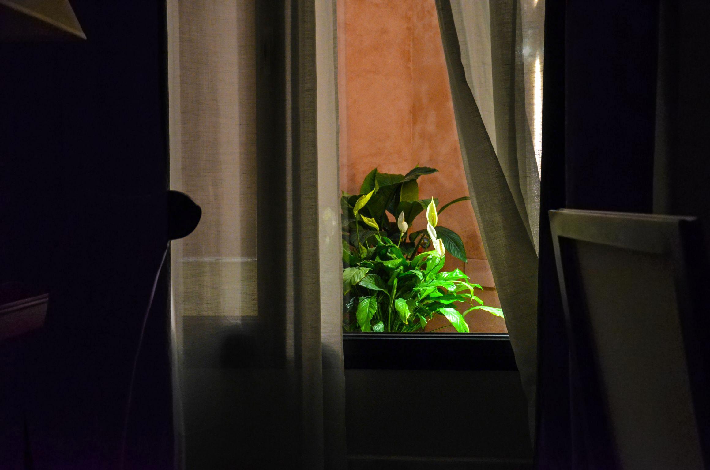 Apartamento Aguilas5 Sevillasuites