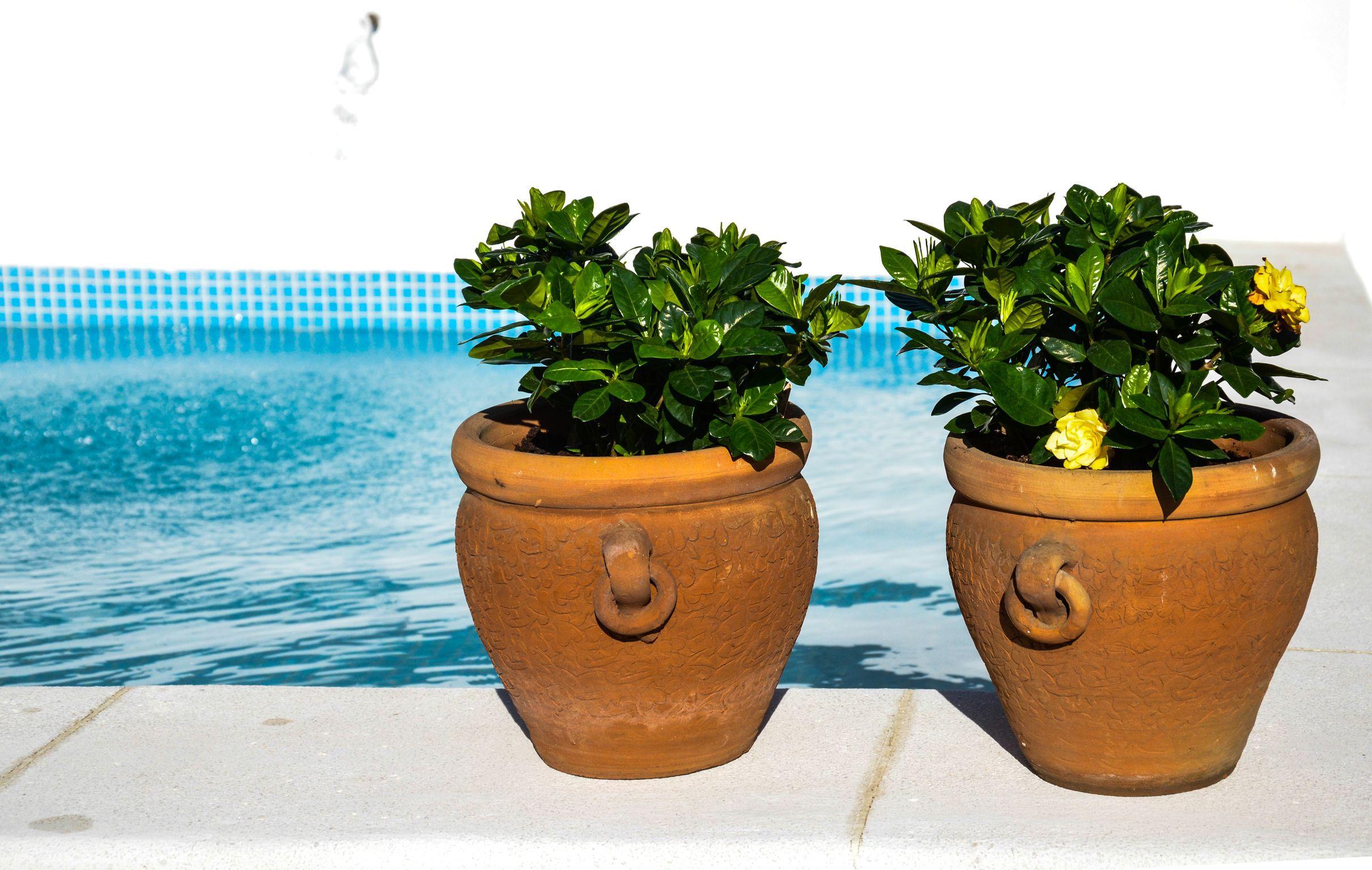 Apartamento Aguilas5 Sevillasuites Sevilla