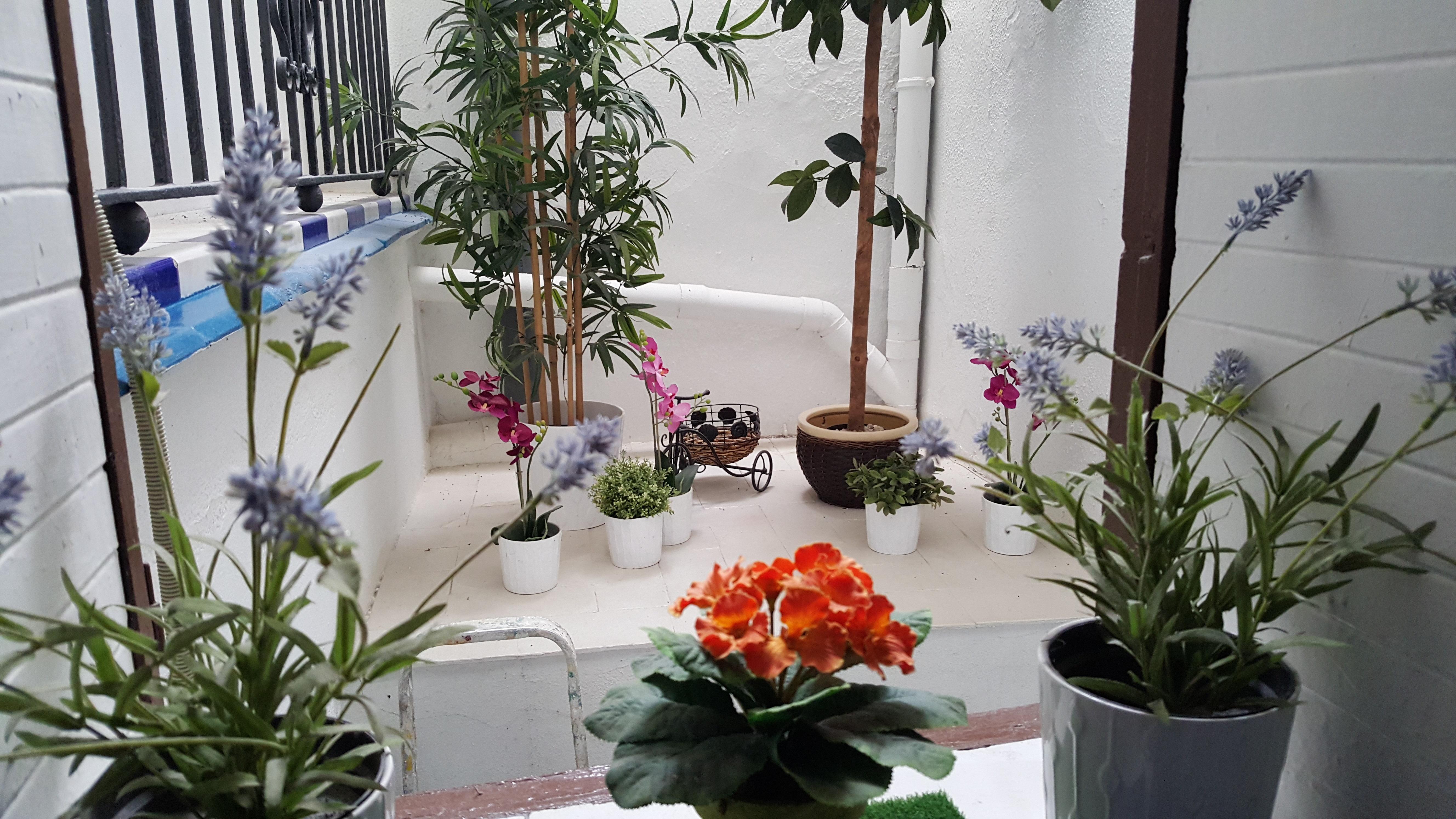 Guest house Giraldilla *