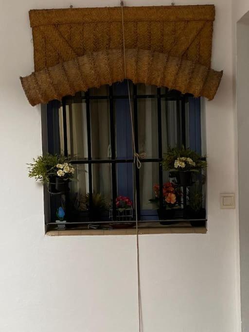 Apartment Hispalis Casa Pilatos