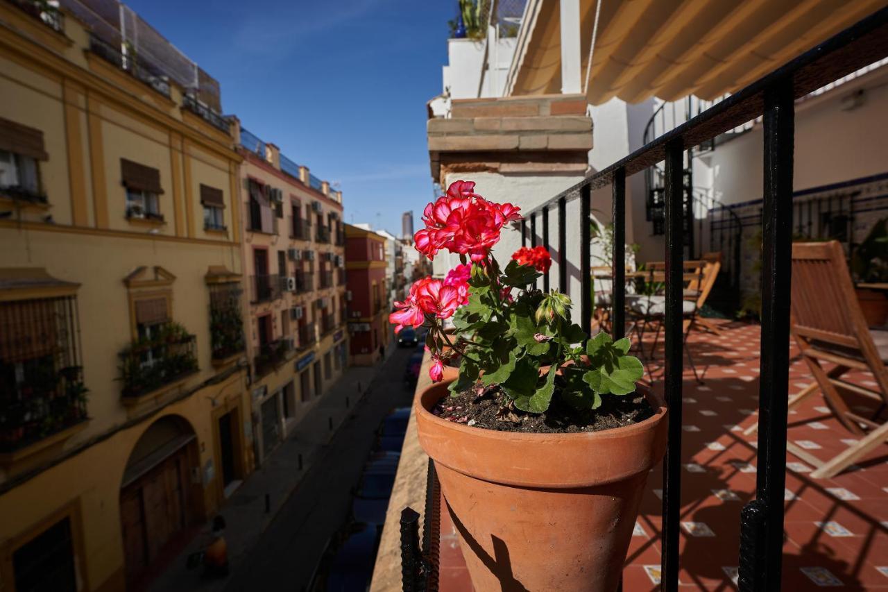 Casa Pureza Pensión *