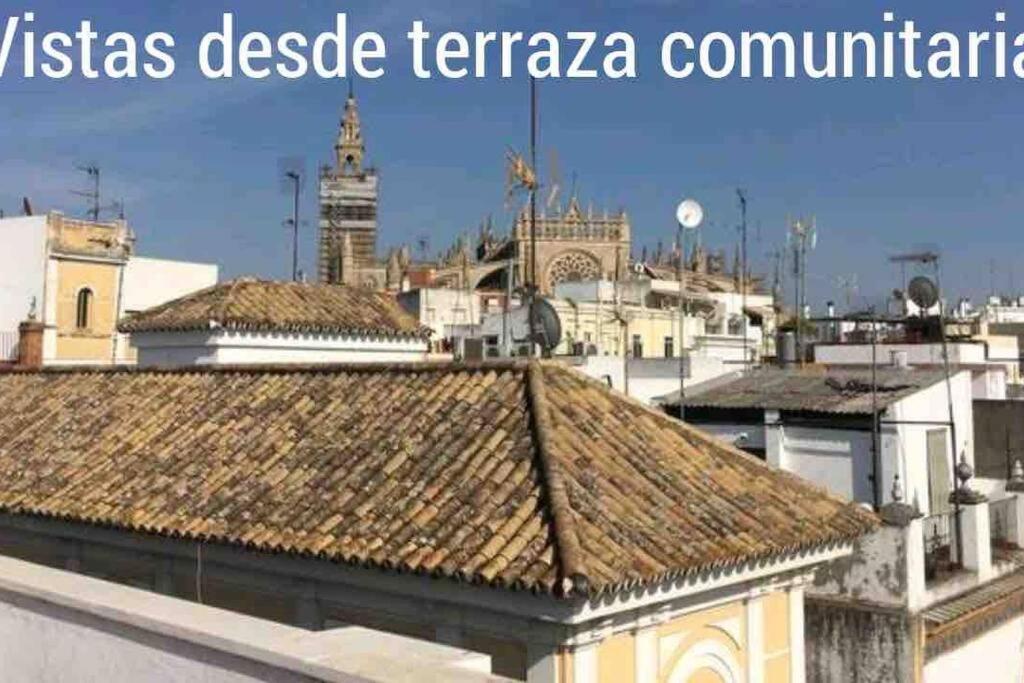 Cder Center Cathedral And Alcazar * Sevilla