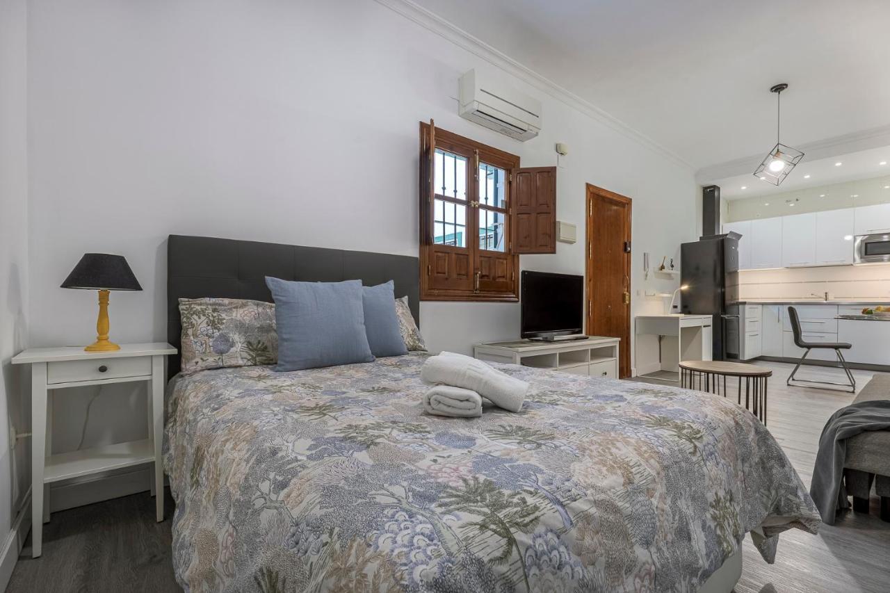 Apartment Estudio Calle Banos Seville