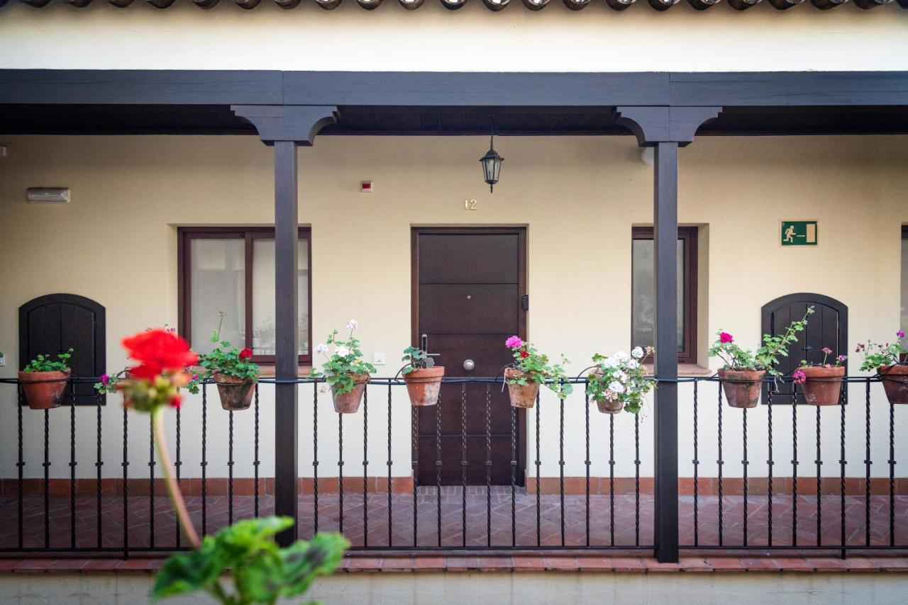 Apartment Del Sur