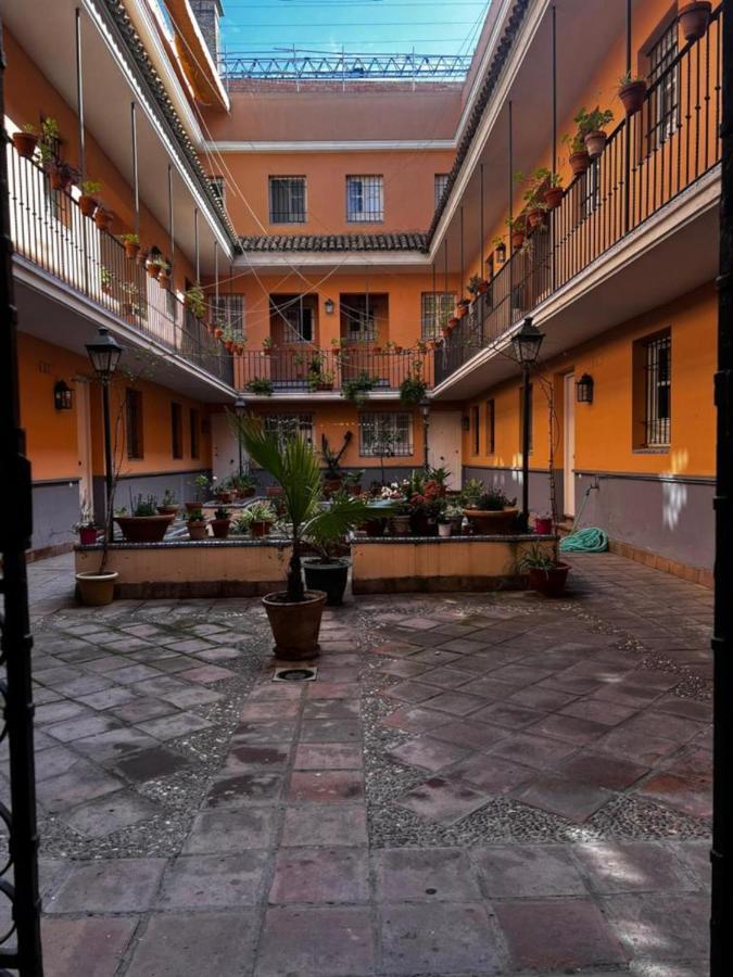 Apartamento Cozy In *