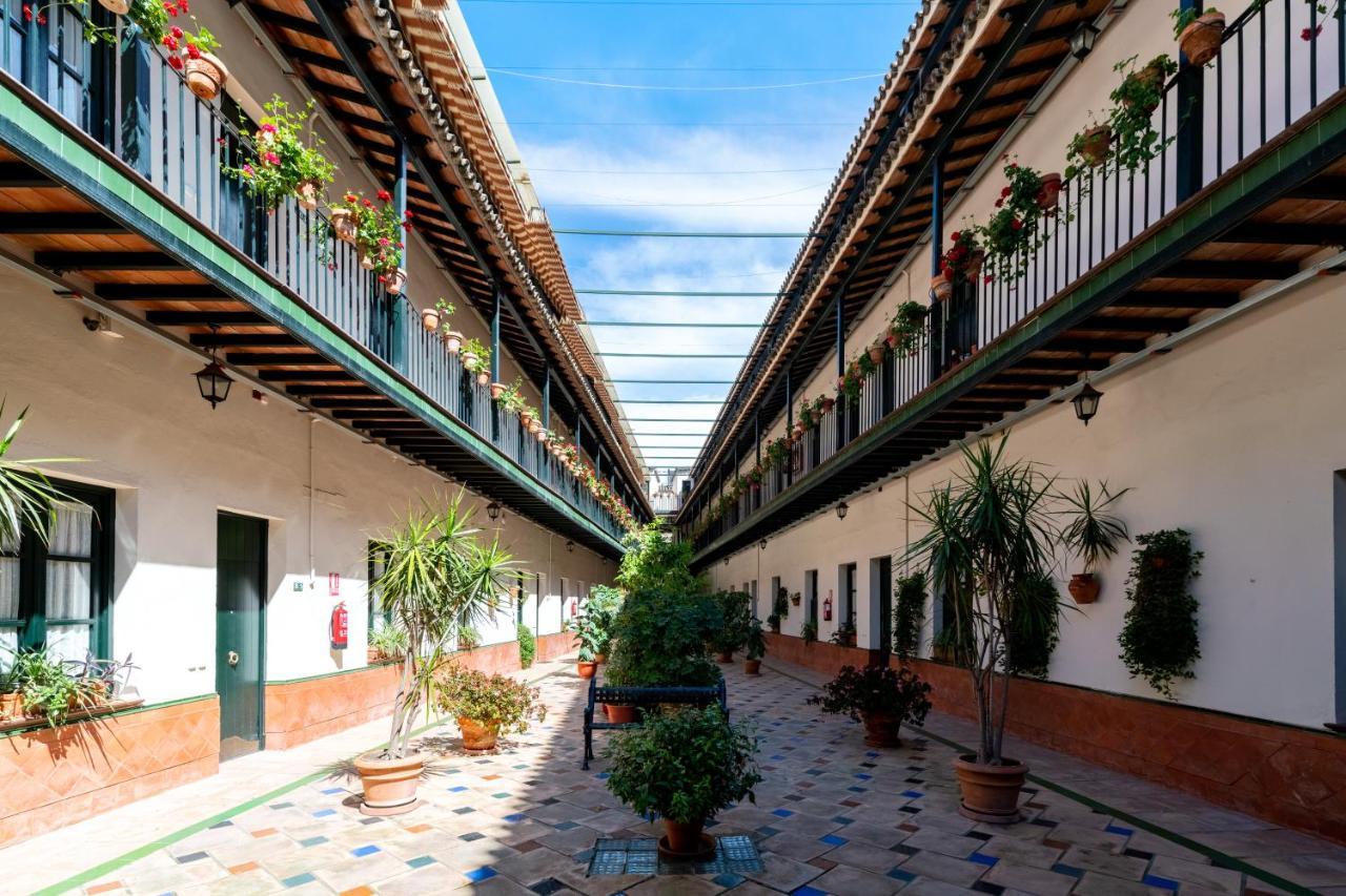 Apartamento Precioso Apto En Alameda *