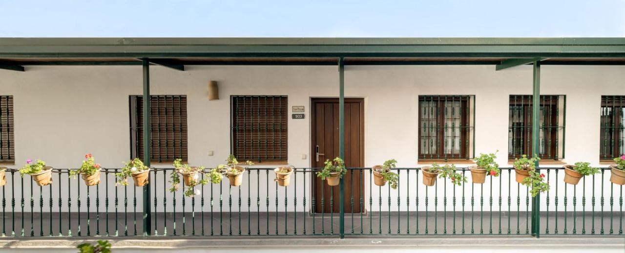 Apartamento Triana