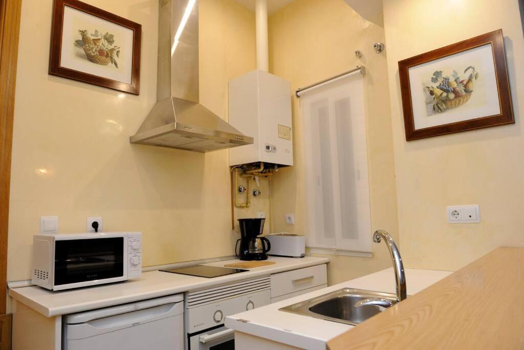 Museo De Bellas Artes Apartamento *