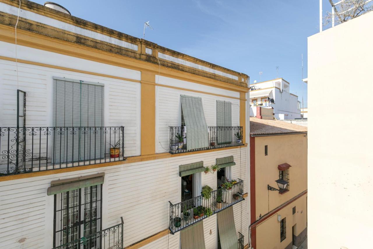 Aurora Terrace *