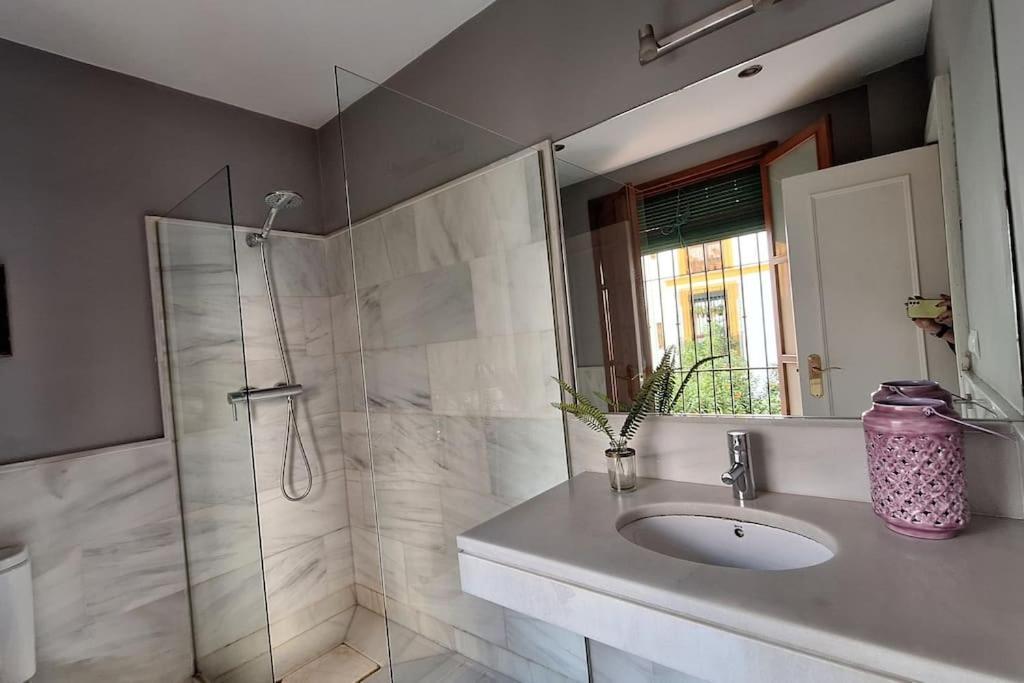 Sc Plaza Santa Cruz Apartment Seville