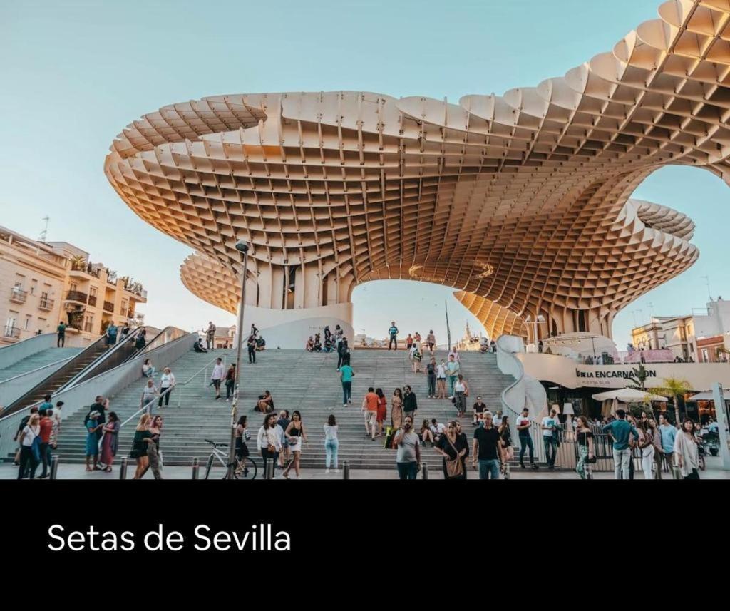 Budget & Lovely Setas * Sevilla
