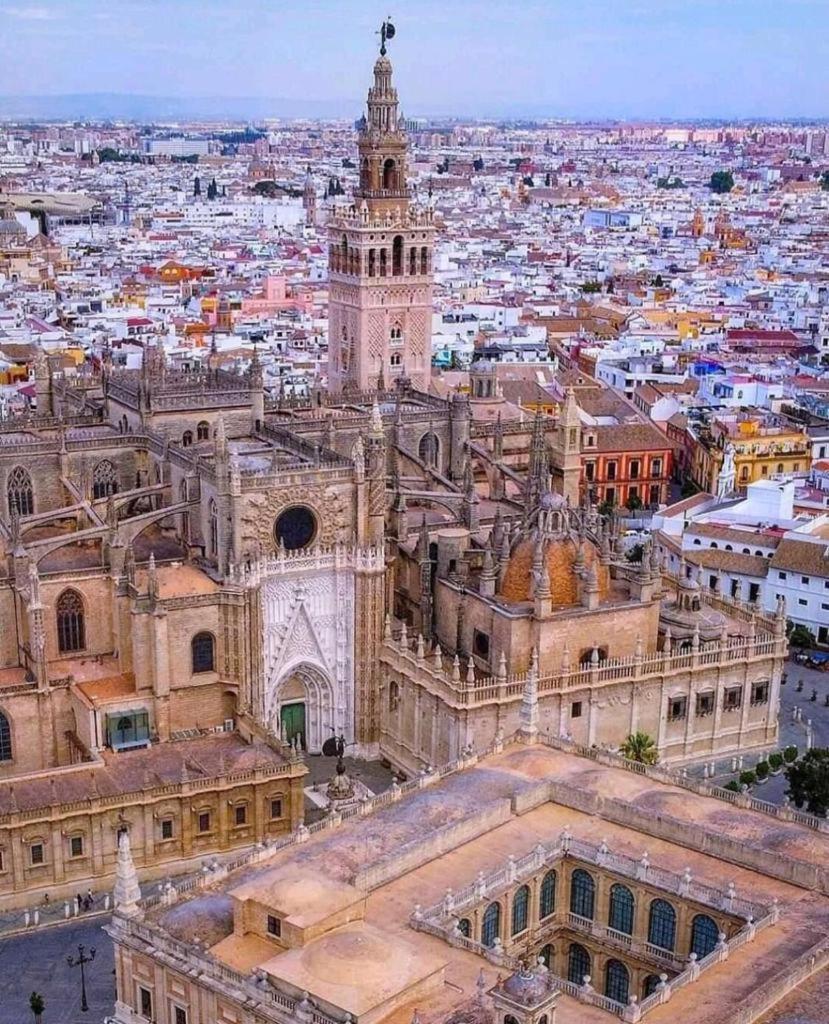 Budget & Lovely Setas Sevilla
