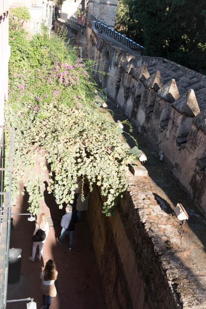 Casa Callejon Del Agua Seville