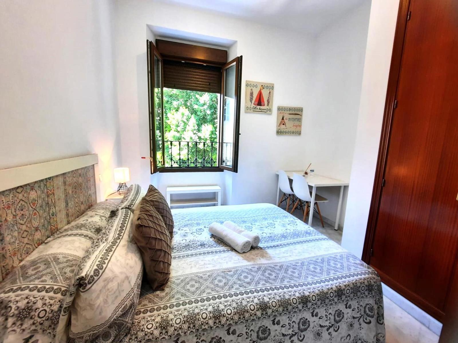 Budget & Lovely Setas Apartamento
