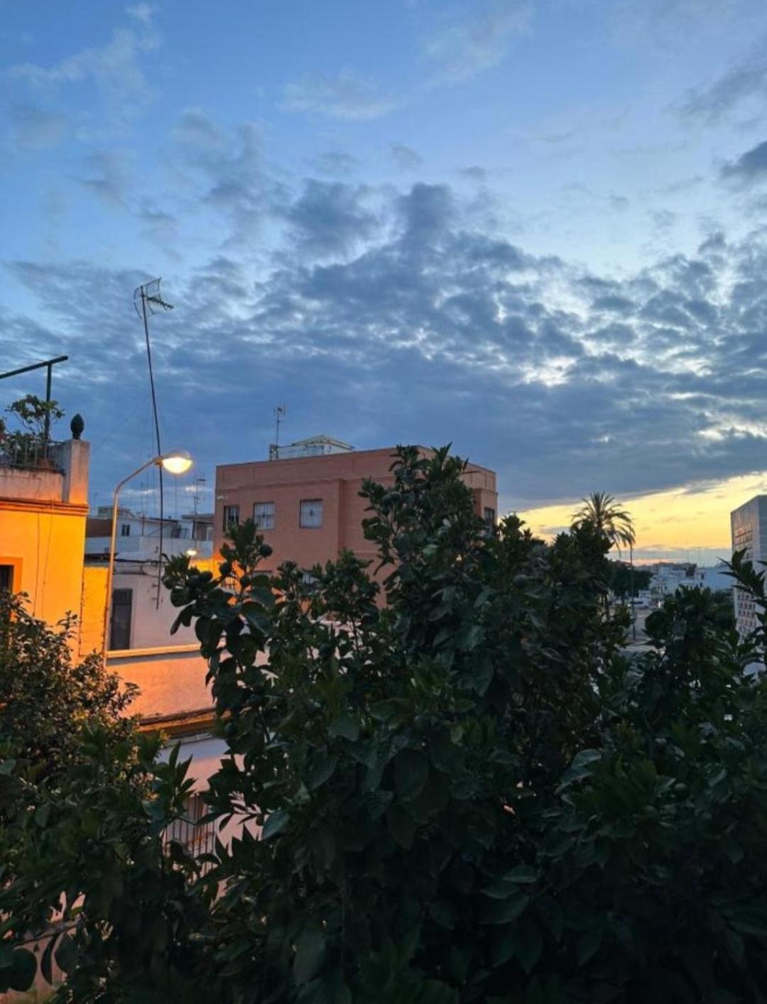 Casa Salma Homestay Seville
