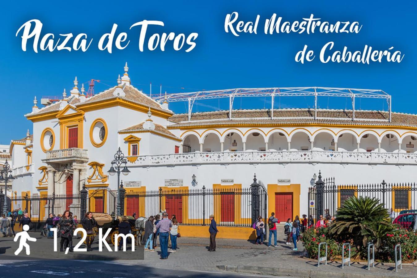 Apartamento Barrio De Triana - Asturias *