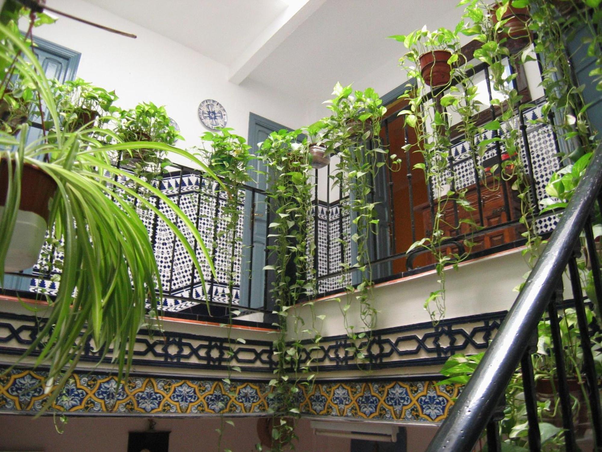 La Montorena