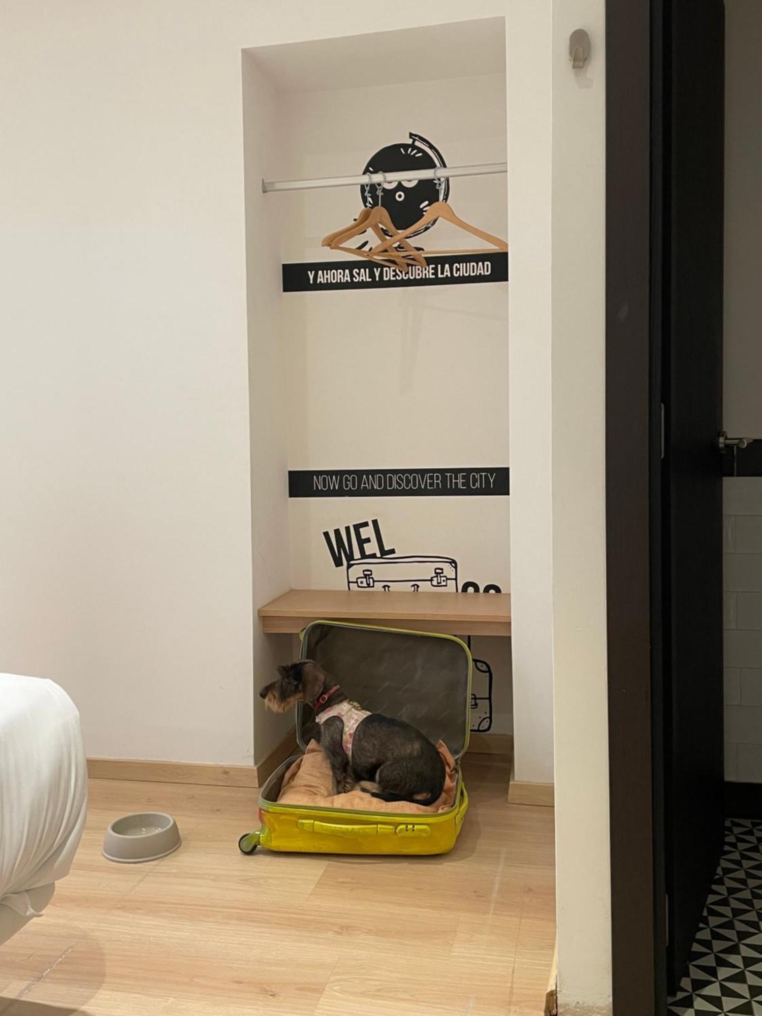 Hostal U-sense For