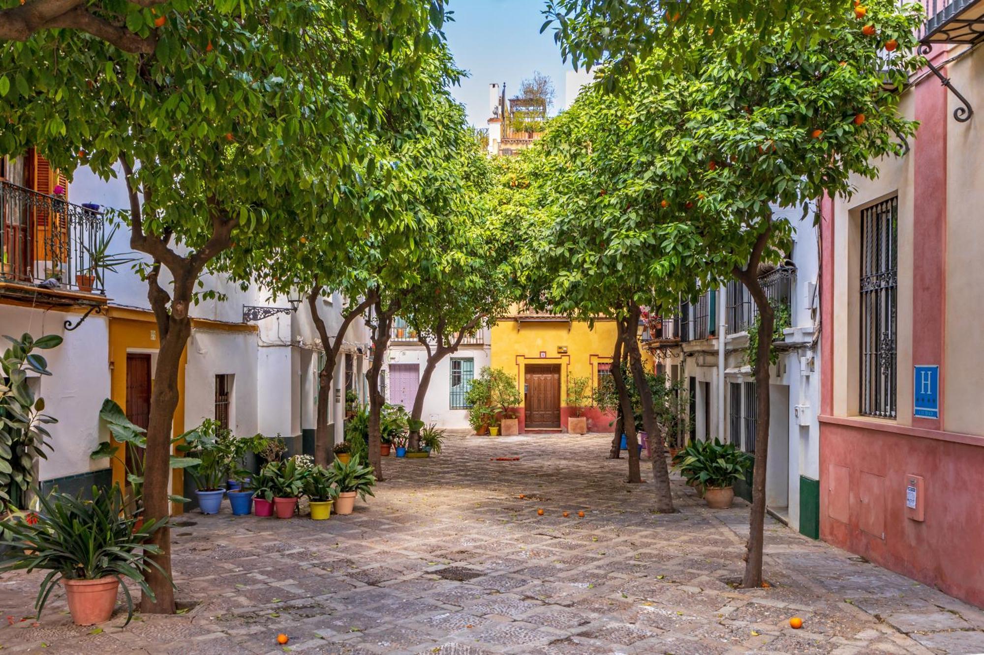 Apartamento Encantador A Un Paso De La Catedral