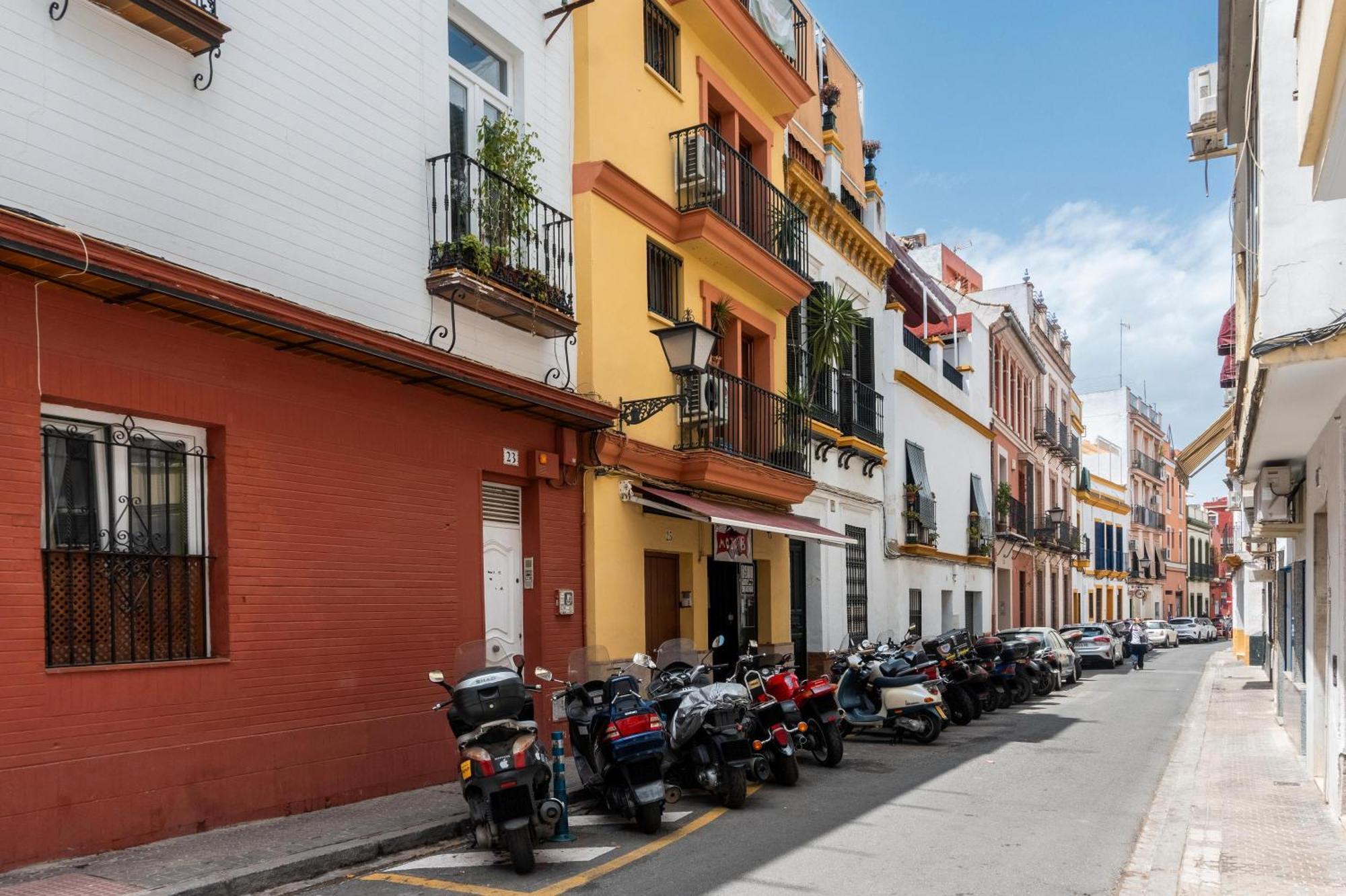 Apartment Loft Alameda De Hercules Seville