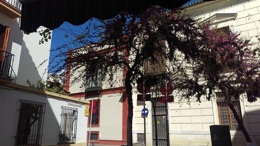 Sun San Eloy Apartamento