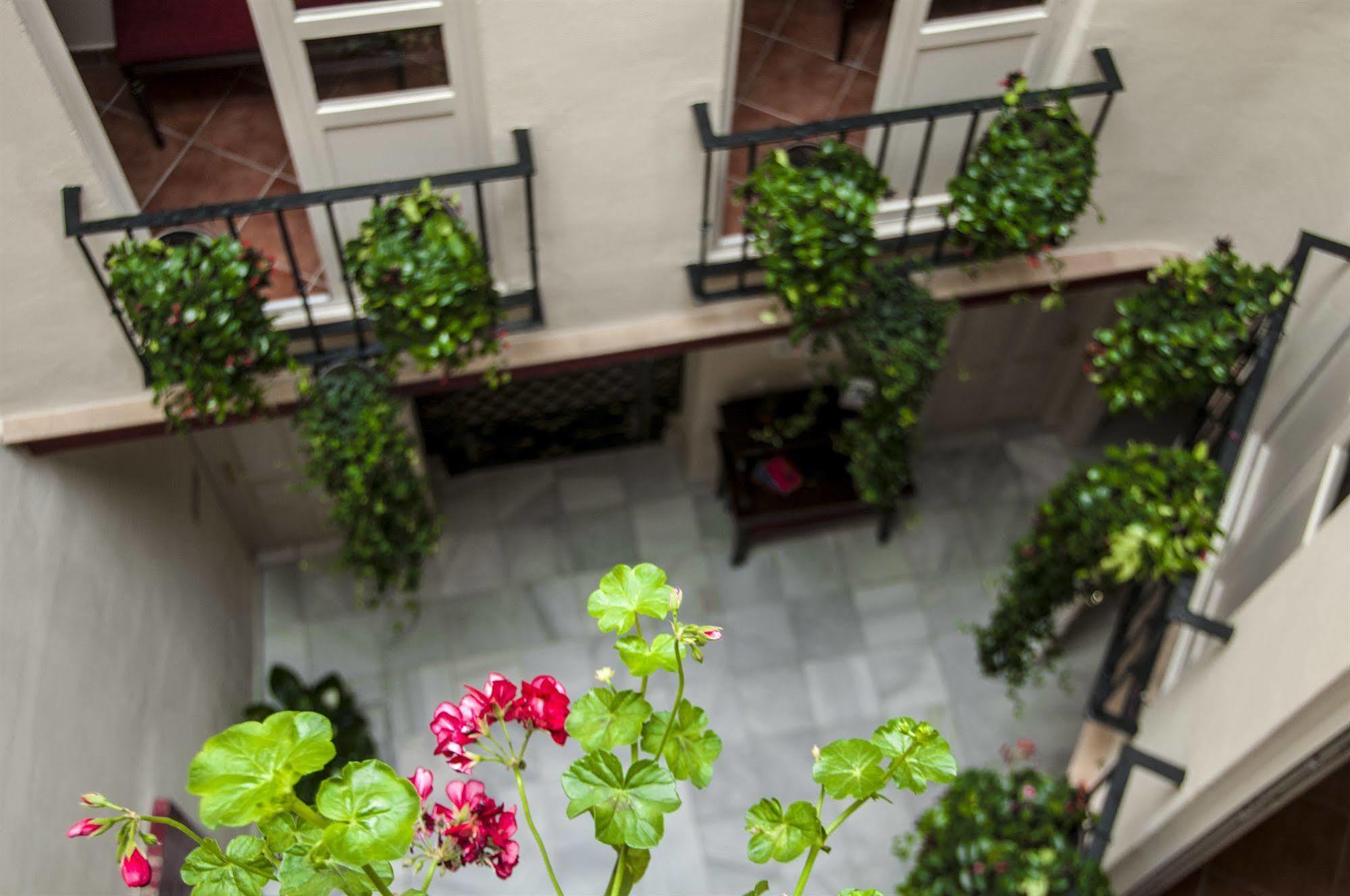 Guest house Callejon Del Agua Seville