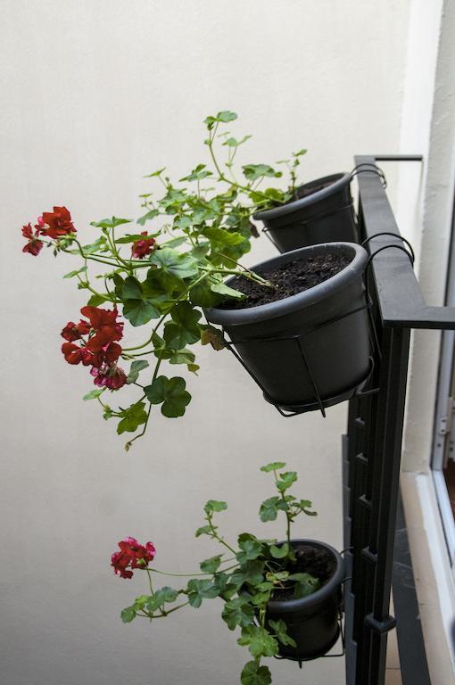 Guest house Callejon Del Agua Seville