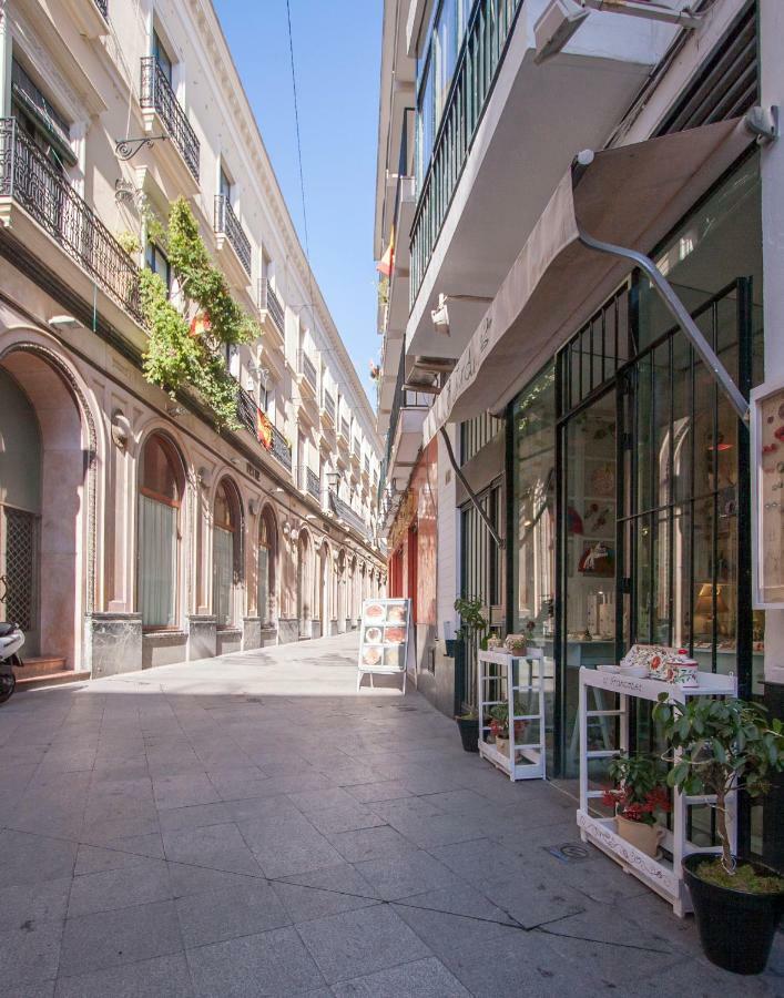 Botanic Duplex Terrace 5 Pax Seville