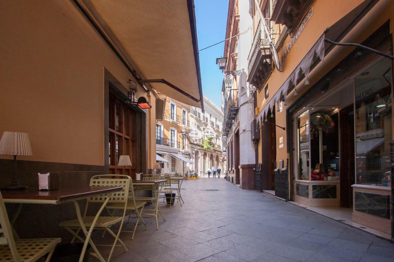 Botanic Duplex Terrace 5 Pax Seville